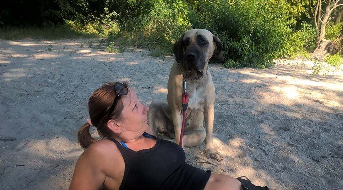 Fila Brasileiro resting beside its owner outdoors